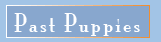past puppies